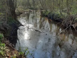 Queich (Offenbach/Queich)-3