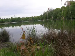 Queich (Offenbach/Queich)-1