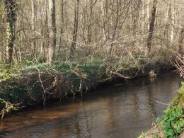 Queich (Offenbach/Queich)-2