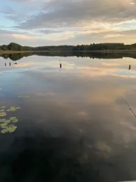 Alter Dorfsee (Krakow am See)-1