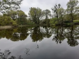 Ullmannstich (Gransee)-1