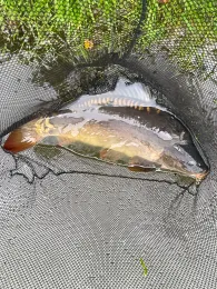 Privatteich bei Wildeshausen-1