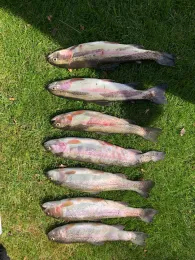 Privatteich bei Wildeshausen-2