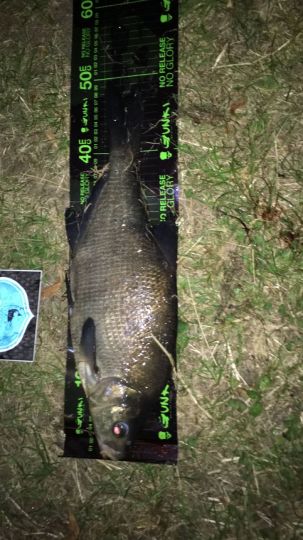 Kiesgrube Schäferhof-0