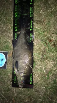 Kiesgrube Schäferhof-0