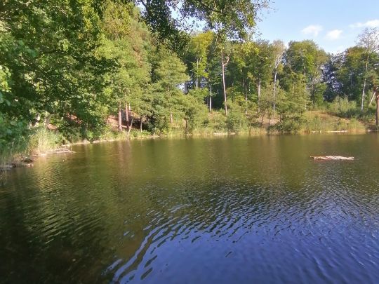 Bachsee (Chorin)