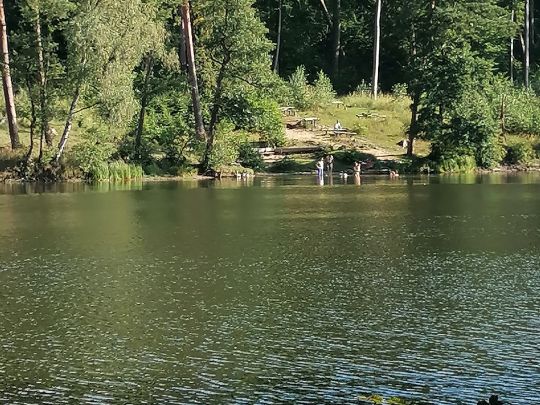 Bachsee (Chorin)-3
