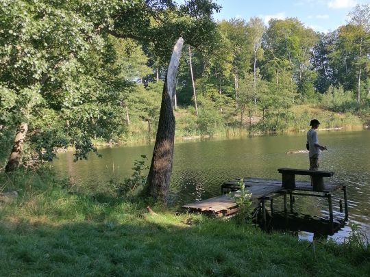 Bachsee (Chorin)-4