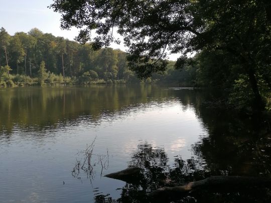 Bachsee (Chorin)-1