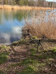 Druschplatzteich (Sachsenburg See)-2