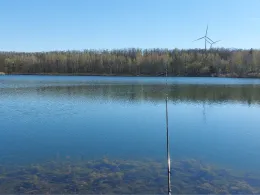 Druschplatzteich (Sachsenburg See)-4