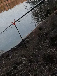 Druschplatzteich (Sachsenburg See)-1