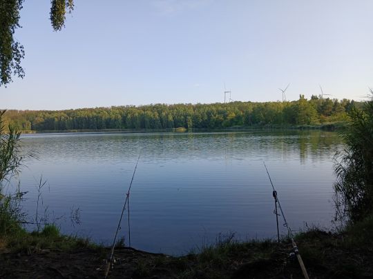 Druschplatzteich (Sachsenburg See)-3