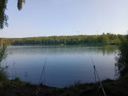 Druschplatzteich (Sachsenburg See)-3