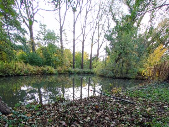 Emsaue (Rheda-Wiedenbrück)-1