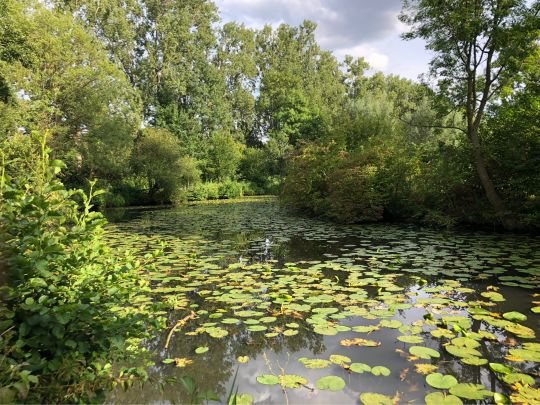 Emsaue (Rheda-Wiedenbrück)