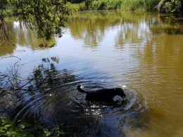 Teich Werdershausen-4