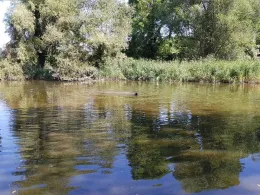 Teich Werdershausen-3