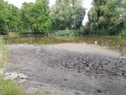 Teich Werdershausen-1