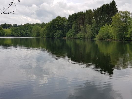 Lac de Robertville angeln