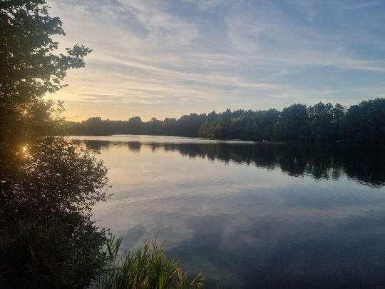 Lac de Robertville-3