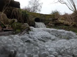 Dorfteich Mönchstockheim-1