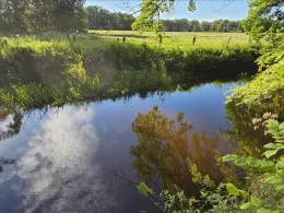 Oberalster (Kayhude)-1