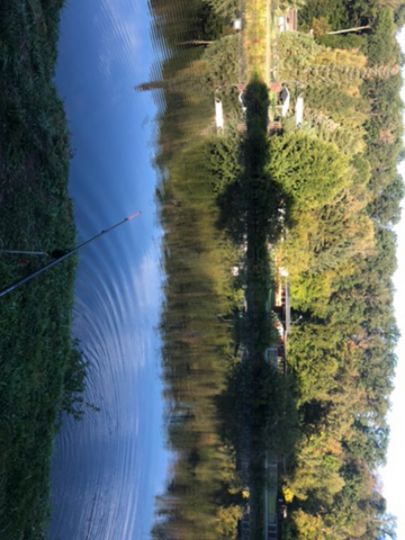 Zwickauer Mulde (Rochlitz)-3