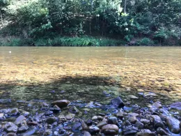 Zwickauer Mulde (Rochlitz)-2