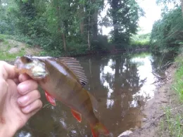 Karthane (Bad Wilsnack)