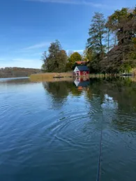Schermützelsee (Buckow)-3