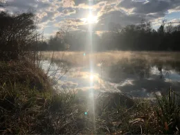 Isar-Staustufe 2 (Niederaichbach)
