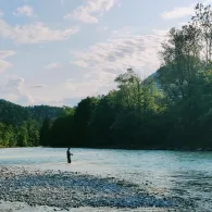 Saalach (Schneizlreuth)-2