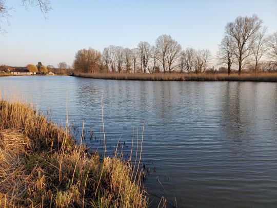 Krainke (Neuhaus/Elbe)-2