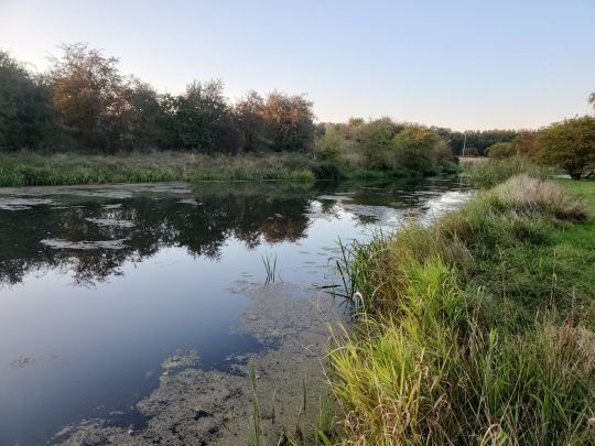 Krainke (Neuhaus/Elbe)-4