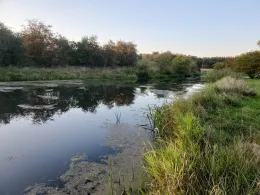 Krainke (Neuhaus/Elbe)-4