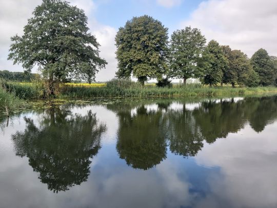 Krainke (Neuhaus/Elbe) angeln