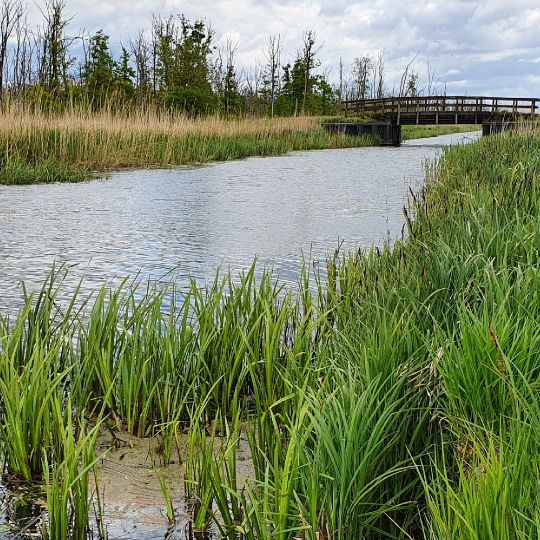 Mühlgraben (Leopoldshagen)-1