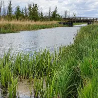 Mühlgraben (Leopoldshagen)-1