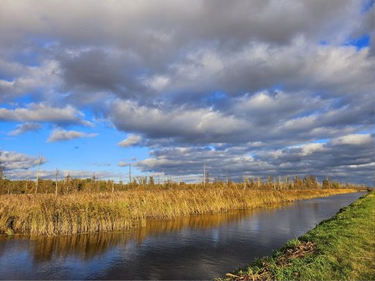 Mühlgraben (Leopoldshagen)