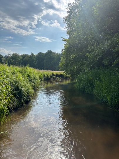 Motel (Dreilutzow)-4