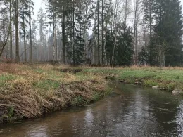 Motel (Dreilutzow)-2