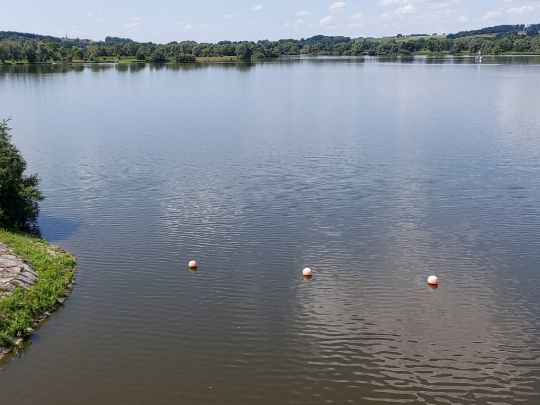 Rottauensee (Stausee Postmünster)-2
