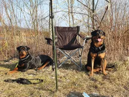 Riedsee (Burtenbach)