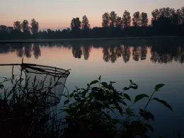 Riedsee (Burtenbach)-2