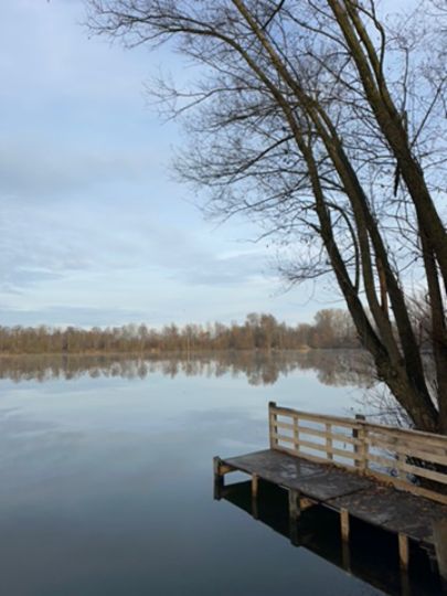 Riedsee (Burtenbach)-3