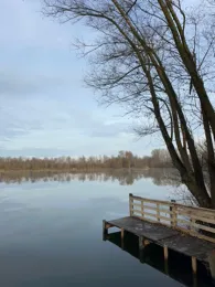 Riedsee (Burtenbach)-3