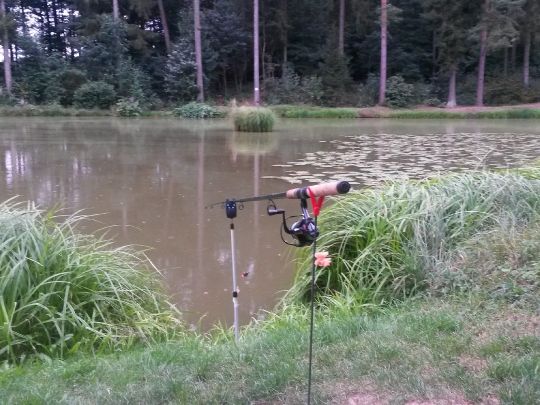 Hammelteich (Trappstadt)-1