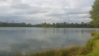 Baggersee Rohleder-0