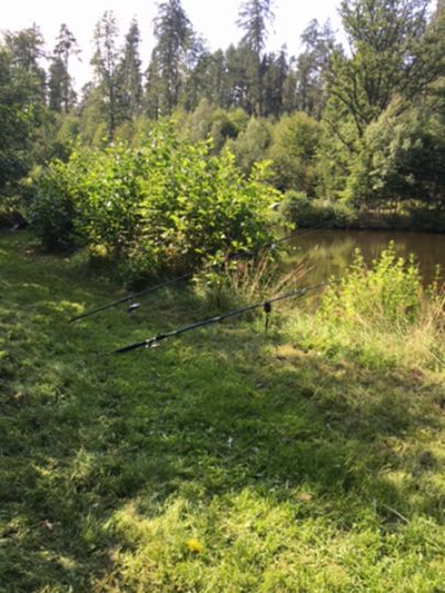 Teichanlage Teichental-2